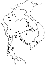 Arhopala alitaeus mirabella map
