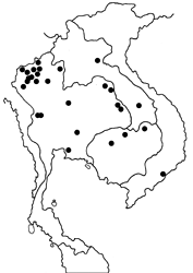 Arhopala atrax map