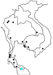 Arhopala agrata agrata map