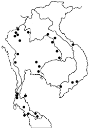 Arhopala aurelia map