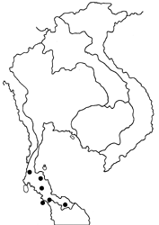 Arhopala phanda phanda map