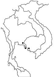 Arhopala milleri map