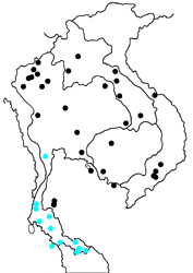 Arhopala silhetensis silhetensis map