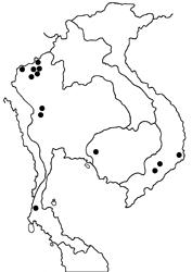 Arhopala paralea map