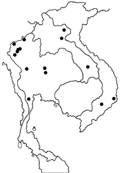 Arhopala paramuta paramuta map
