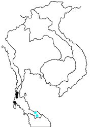 Arhopala barami penanga map
