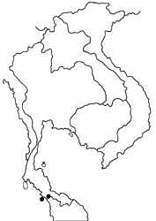 Arhopala wildeyana havea map