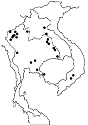 Arhopala hellenore hellenore map