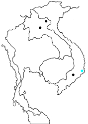 Arhopala ganesa elegantia map