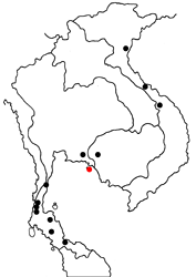 Arhopala ammonides ammonides map
