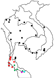 Flos abseus ophiala map