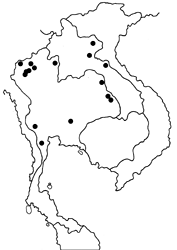 Flos adriana map