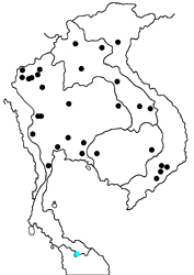 Iraota timoleon timoleon map