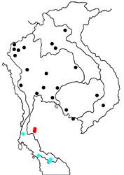 Iraota rochana masashimaruyamai map