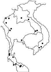 Amblypodia narada taooana map