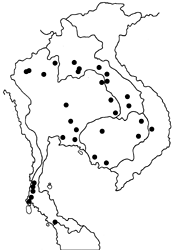 Neomyrina hiemalis map