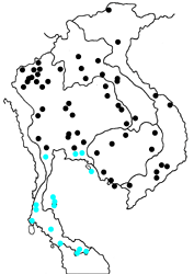 Loxura atymnus continentalis map