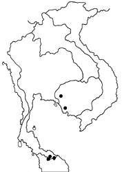 Loxura cassiopeia cassiopeia map