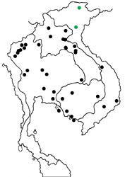 Yasoda tripunctata tripunctata map