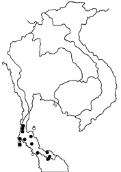 Yasoda pita dohertyi map