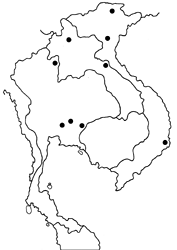 Yasoda androconifera map