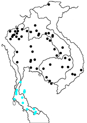 Cheritra freja evansi map