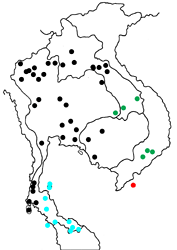Drupadia ravindra ssp. map