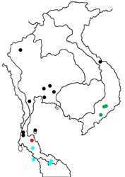 Drupadia rufotaenia rufotaenia map