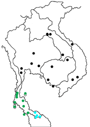 Drupadia theda thesmia map