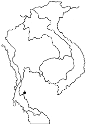 Horaga chalcedonyx malaya map