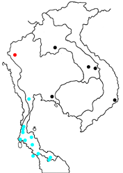 Dacalana sinhara aoyamai map