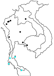 Pratapa icetoides icetoides map