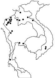 Hypolycaena kina kina map