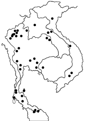 Deudorix epijarbas epijarbas map