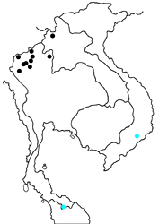 Deudorix hypargyria hypargyria map