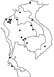 Artipe eryx eryx map