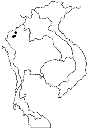 Virachola rubida map