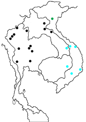 Sinthusa chandrana sophonisbe map