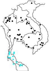 Rapala pheretima sequeira map