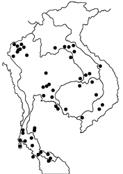 Rapala dieneces dieneces map