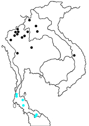 Rapala rhoecus rhoecus map