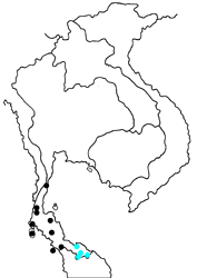 Sithon nedymond ismarus map