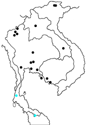 Burara harisa consoburina map
