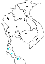 Burara gomata gomata map