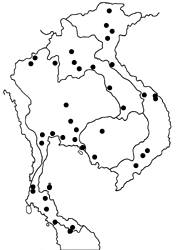 Hasora badra badra map