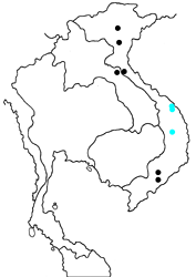 Capila pennicillatum kiyila map
