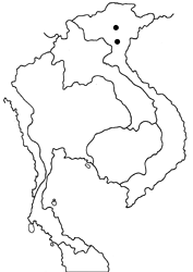 Capila translucida map