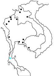 Capila hainana arooni map