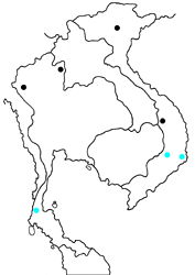 Celaenorrhinus aspersa pinratanai map