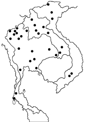 Celaenorrhinus leucocera map